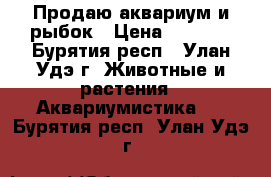 Продаю аквариум и рыбок › Цена ­ 2 000 - Бурятия респ., Улан-Удэ г. Животные и растения » Аквариумистика   . Бурятия респ.,Улан-Удэ г.